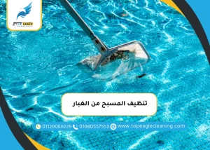تنظيف المسبح من الغبار