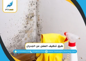 طرق تنظيف العفن عن الجدران