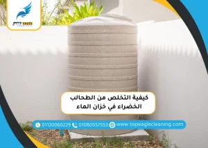 كيفية التخلص من الطحالب الخضراء في خزان الماء