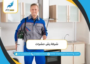 شركة رش حشرات