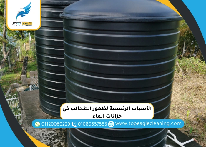 الأسباب الرئيسية لظهور الطحالب في خزانات الماء