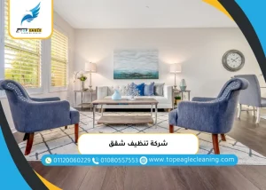 شركة تنظيف شقق