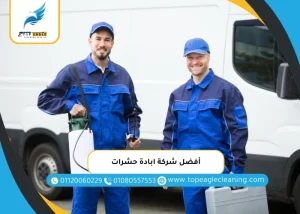 أفضل شركة ابادة حشرات