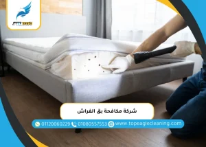 شركة مكافحة بق الفراش