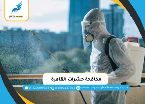 مكافحة حشرات القاهرة