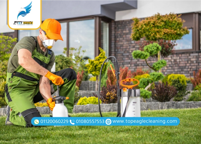 شركة رش الحشرات