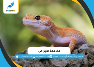 مكافحة الأبراص