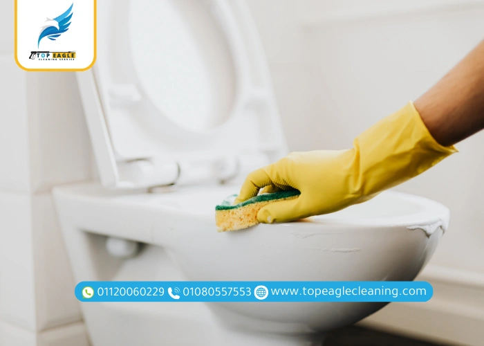 اختيار شركة تنظيف منازل في المعادي