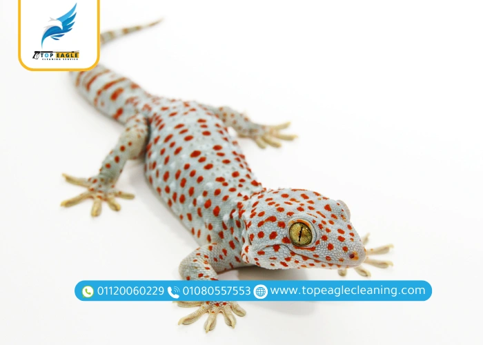 مكافحة الأبراص