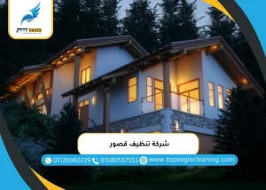 شركة تنظيف قصور