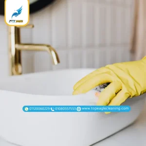 تنظيف الشركات