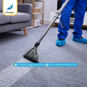 تنظيف الشركات