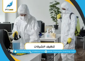 تنظيف الشركات