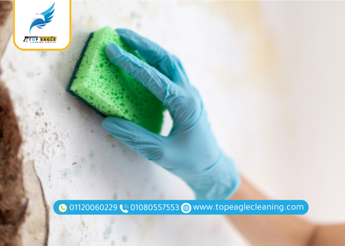 تنظيف الحوائط