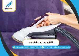 تنظيف كنب الشامواه
