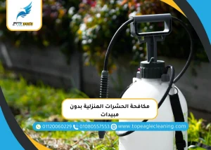 مكافحة الحشرات المنزلية بدون مبيدات