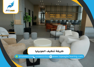 طريقة تنظيف الموبيليا