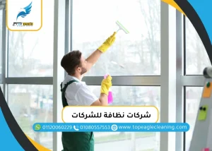 شركات نظافة للشركات