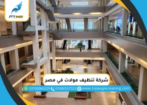 شركة تنظيف مولات في مصر