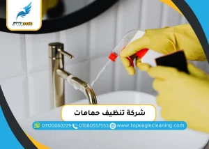 شركة تنظيف حمامات
