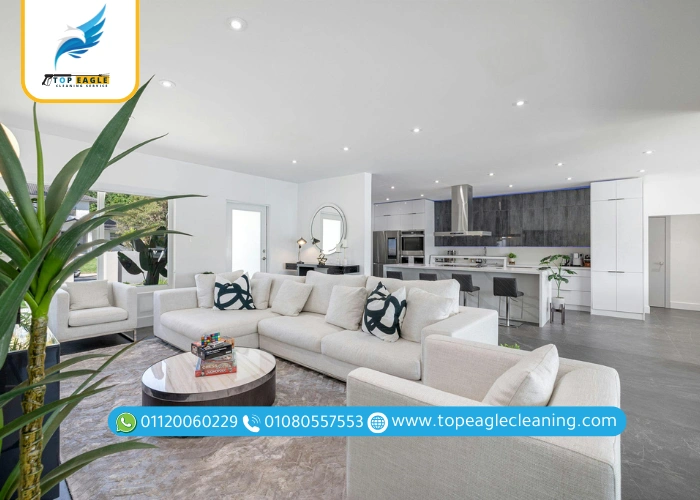 تنظيف الصالون