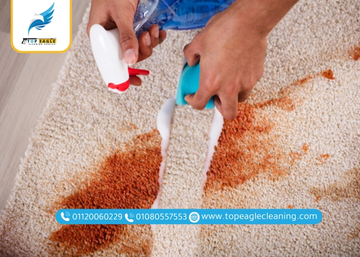 تنظيف السجاد بدون ماء باستخدام الخل الأبيض