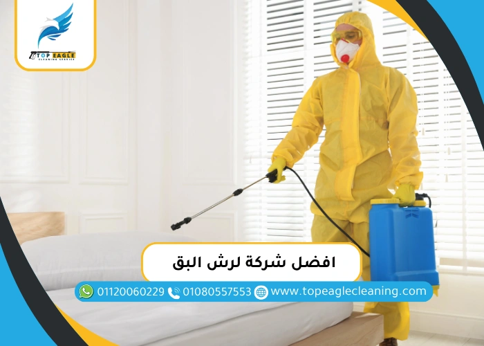 افضل شركة لرش البق