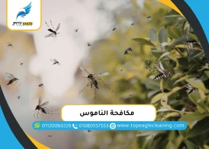 مكافحة الناموس