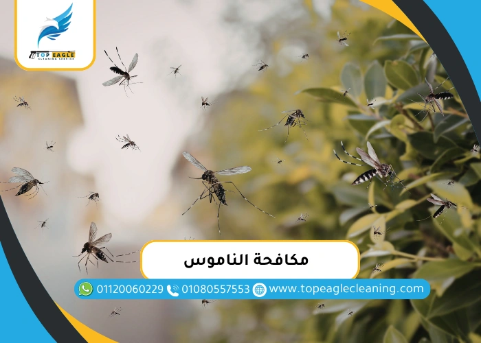 مكافحة الناموس