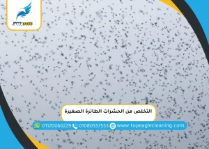 طريقة التخلص من الحشرات الصغيرة جدا