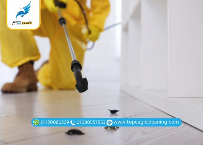 خدمات تقدمها شركة رش صراصير