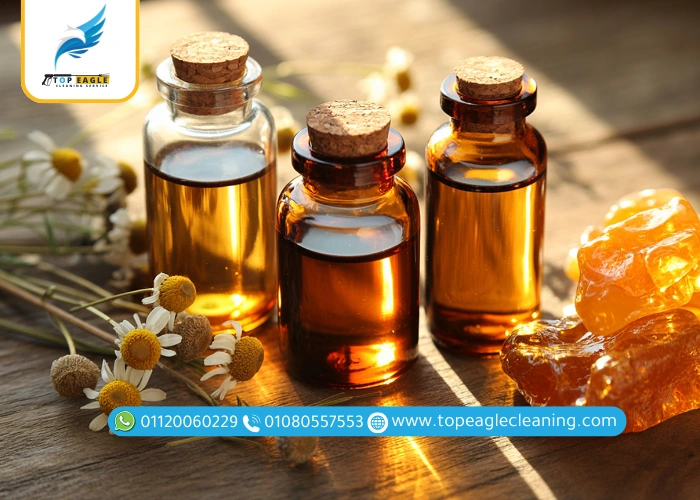 أفضل طرق طبيعية للقضاء على الحشرات الطائرة الصغيرة