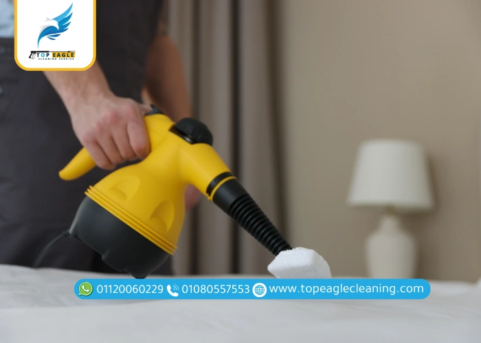 افضل شركة لرش البق