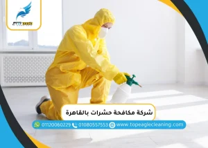 شركة مكافحة حشرات بالقاهرة