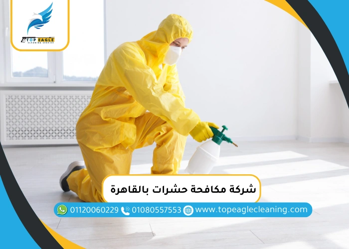 شركة مكافحة حشرات بالقاهرة