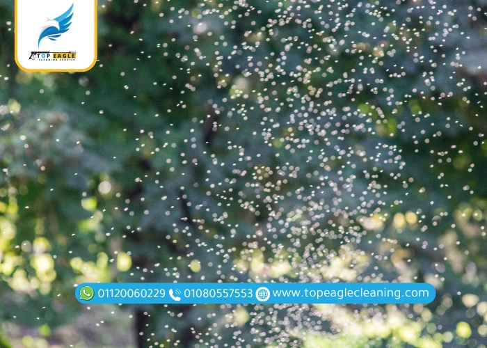 طرق التخلص من الحشرات الطائرة