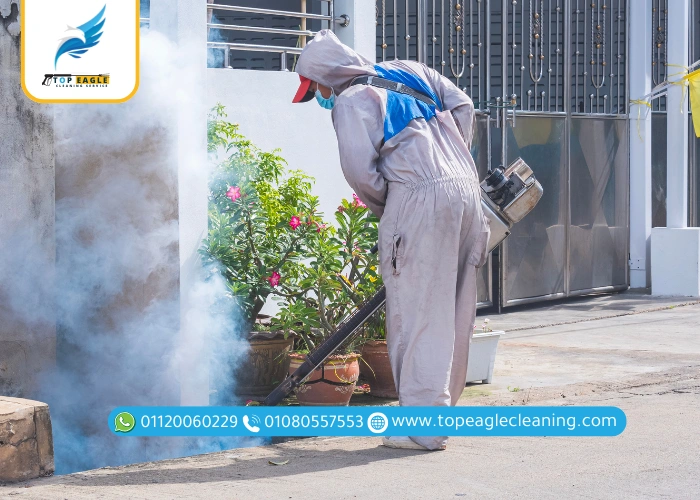 رش المبيدات علي الناموس