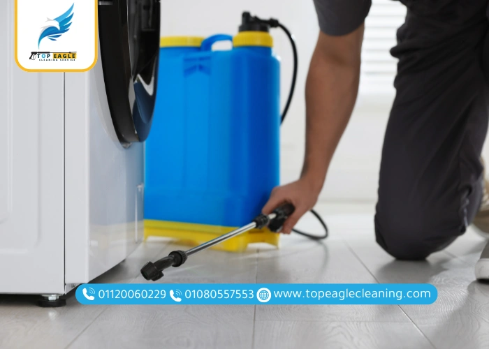 كيفة تختار أفضل شركة مكافحة حشرات