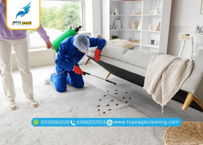 مميزات أفضل شركة رش صراصير