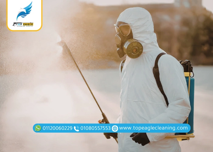 أفضل طرق مكافحة البراغيث
