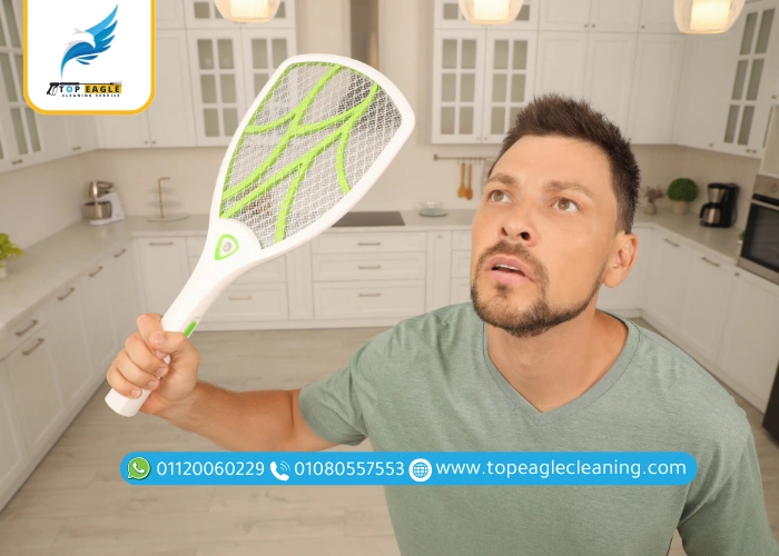 أفضل طرق مكافحة الذباب