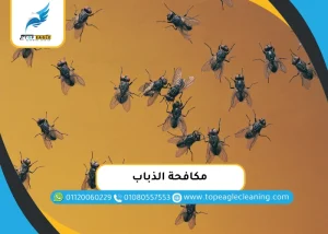 مكافحة الذباب